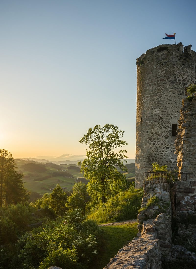 Castle Ruins