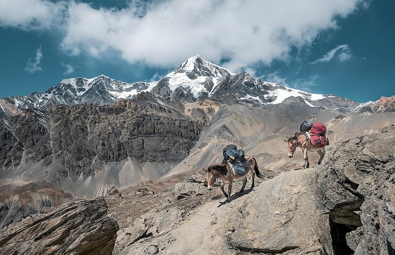 Mountain Peak